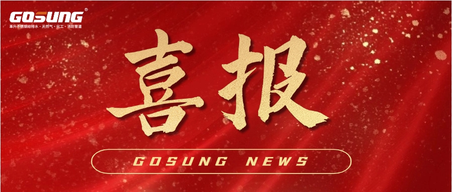 GOSUNG資訊丨重磅捷報(bào)！GOSUNG斬獲城市供水改造項(xiàng)目魁首，筑牢民生健康安全防線(xiàn)！